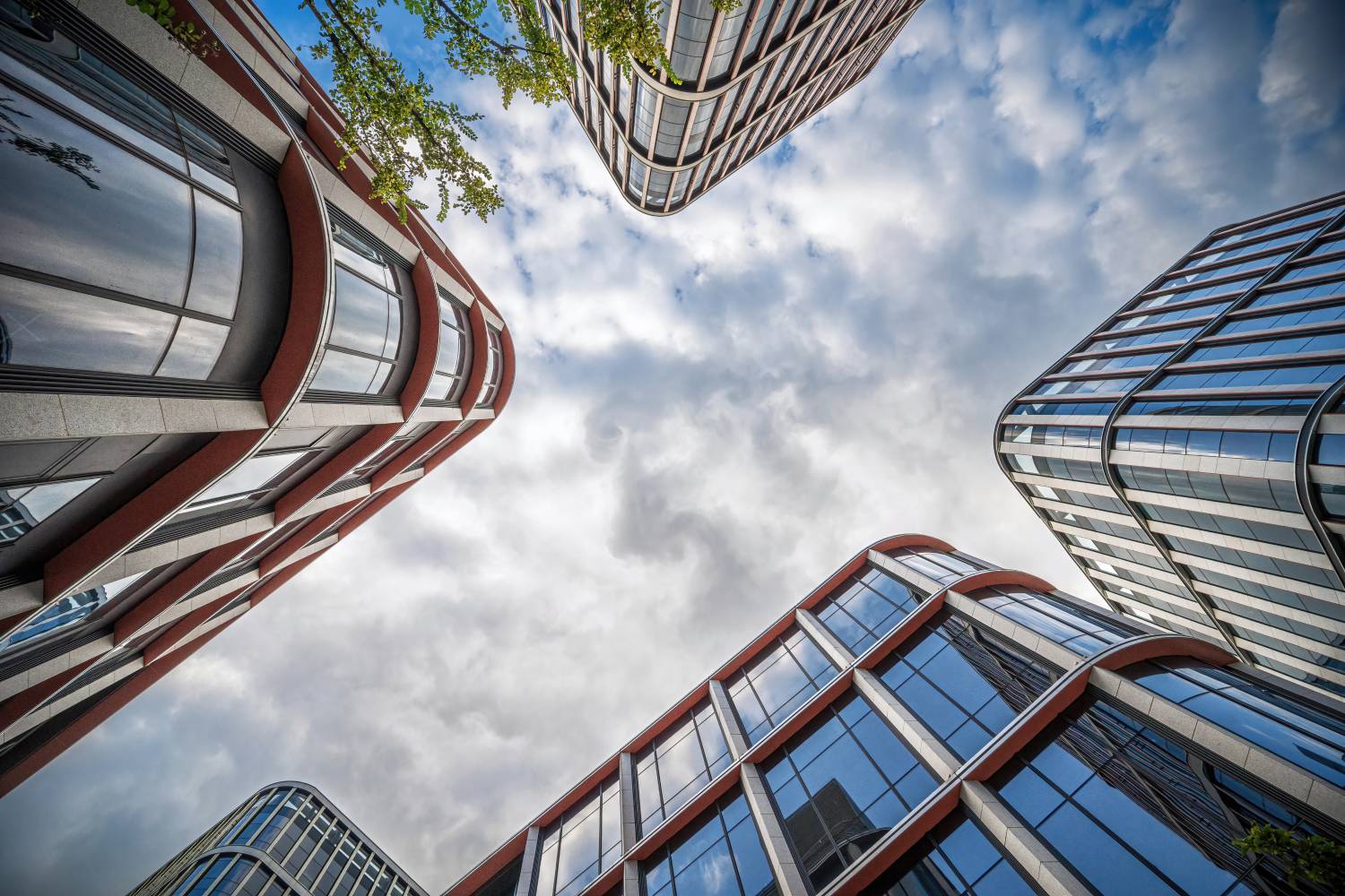 Circular skyward view of commercial buildings and a tree.